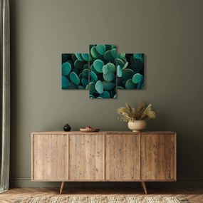 Tablou - Opuntia (90x60 cm)