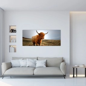 Tablou - Vaci scoțiene (120x50 cm)