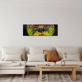 Tablou detailat cu ochii de omidă (cu ceas) (90x30 cm)