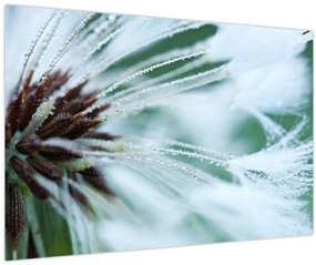 Tablou - Detaliu floare (90x60 cm)