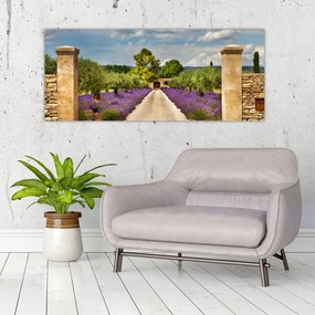 Tablou - Căi de lavandă (120x50 cm)