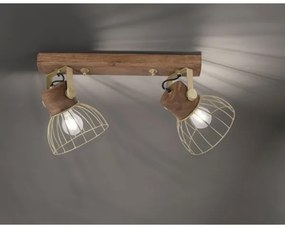 Spot ALAMI 2xE27/25W/230V Leuchten Direkt 11487-60