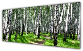 Tablouri acrilice Copaci Iarbă Natura Negru Alb Verde
