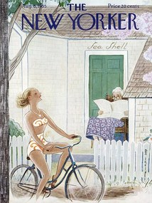 Ilustrație The NY Magazine Cover 430