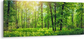 Tablou - Pădurea cu frunze de primăvară (120x50 cm)