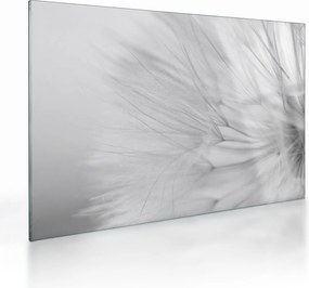 Tablou pe sticlă - Dandelion (70x50 cm)