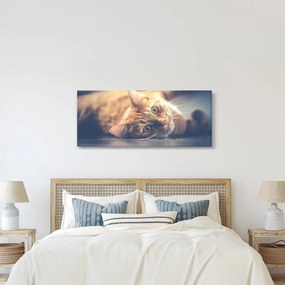Tablou - Pisici pe podea (120x50 cm)