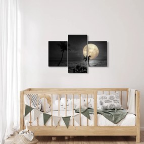 Tablou - Plaja cu lună plină, nuanțe gri (90x60 cm)