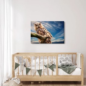 Tablou cu bufnița (90x60 cm)