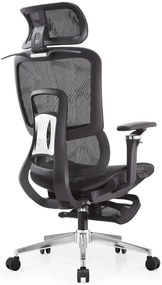 SYBERGO HUMAN PRO Scaun ergonomic, suport lombar, sezut translatie, cotiere 3D, suport picioare, Full Mesh, Negru
