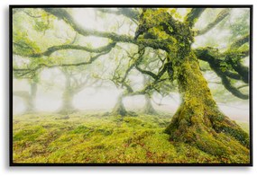 Mauro Ferretti Pictura Pe Panza, Lacuita, Cu Rama, Padure Cm 90X4X58 | Aosom Romania