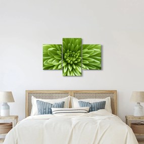 Tablou - Imagine macro a unei plante (90x60 cm)