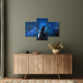 Tablou - Porumbel încoronat (90x60 cm)