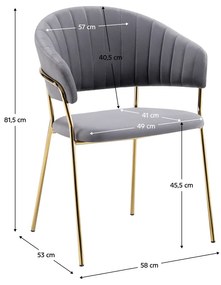 Fotoliu de sufragerie de design, gri-maro Velvet gold crom auriu, DASMIN TIP 1