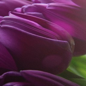 Tablou cu lalele (120x50 cm)