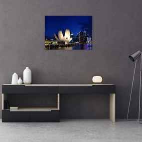 Tablou pe sticlă Singapore nocturn (70x50 cm)