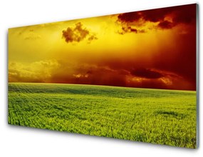 Tablouri acrilice Câmp Peisaj verde