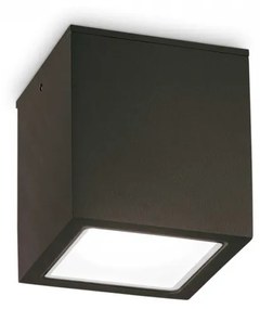 Plafoniera exterior neagra Ideal-Lux Techo pl1- 251530