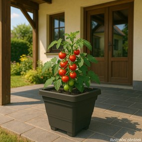 Jardinieră cu auto-irigare Plastia Bergamot50 x 50 cm, gri, 50 x 50 cm