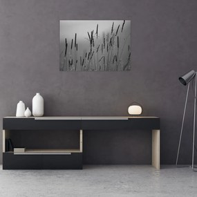 Tablou pe sticlă - Lamele de iarbă (70x50 cm)