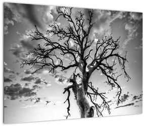 Tablou - Copacul, alb-negru (70x50 cm)