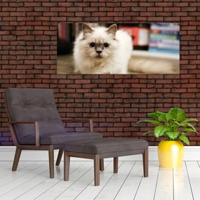 Tablou cu pisica albăr (120x50 cm)