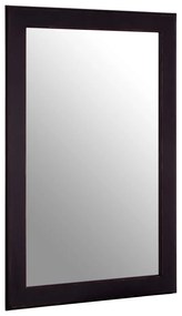 Oglindă de perete 60x90 cm Heritage – Premier Housewares