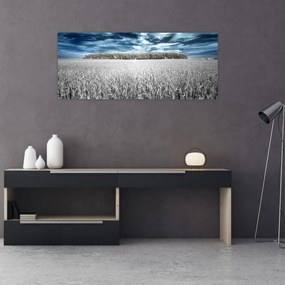 Tablou cu câmp (120x50 cm)