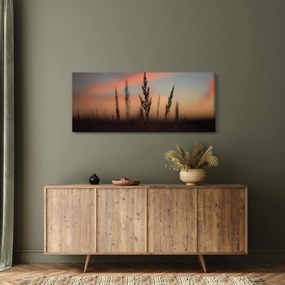 Tablou - Silueta plantei (120x50 cm)