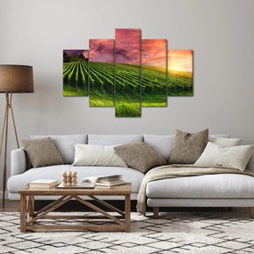 Tablou cu vie cu cerul color (150x105 cm)