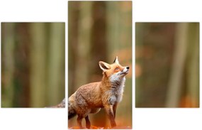 Tablou - Vulpe (90x60 cm)