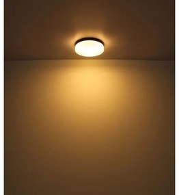 Corp de iluminat pentru baie VRANOS 2xE27/60W/230V d. 24 cm IP44 Globo 32112B