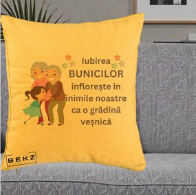 Cadou pentru Bunici - Perna Personalizata Bunicii Iubirea Infloreste Bunici cu Nepoata Colorat, 40x40 cm, Galben, Husa Detasabila, Perna Inclusa, BEKZ®