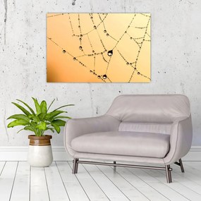 Tablou cu pânză de pâianjen cu rouă (90x60 cm)