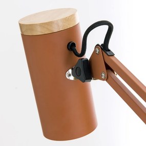 Lampa cu brat articulat si sistem de prindere masa, Gili rosu coral
