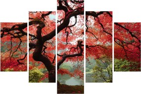 Tablou - Arțarul japonez roșu, Portland, Oregon (150x105 cm)