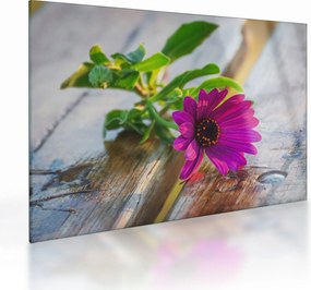Tablou pe sticlă flori tăiate (70x50 cm)