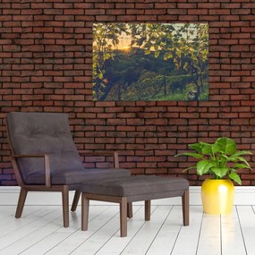 Tablou - Podgorii (90x60 cm)