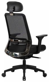 Scaun de birou Cantaron Plus, negru
