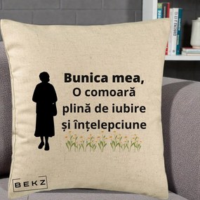 Cadou pentru Bunica - Perna Personalizata Bunica Mea Comoara Iubire Intelepciune Silueta cu Nepoata, 40x40 cm, Bej, Husa Detasabila, Perna Inclusa, BEKZ®