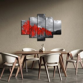 Tablou - Copaci în culorile toamnei (150x105 cm)