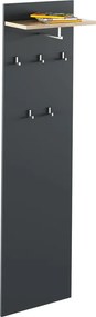 Cuier cu bara de umerase RIOMA NEW TYP 19, gri grafit/stejar artisan,