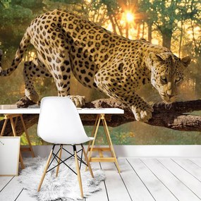 Fototapet - Jaguar Forest Woods (254x184 cm)