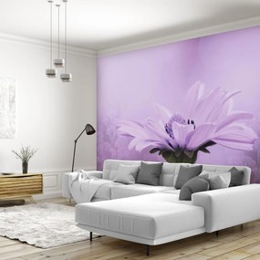 Fototapet - Flori mov (147x102 cm)
