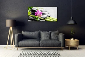Tablouri acrilice Bamboo Tube flori Stones Arta Verde Rosu Negru