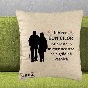 Cadou pentru Bunici - Perna Personalizata Bunicii Iubirea Infloreste Silueta Neagra Flori, 40x40 cm, Bej, Husa Detasabila, Perna Inclusa, BEKZ®