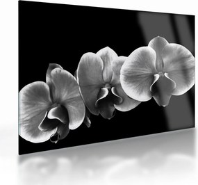 Tablou pe sticlă floare de orhidee (70x50 cm)