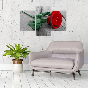 Tablou - Trandafir roșu cu tulpină verde (90x60 cm)