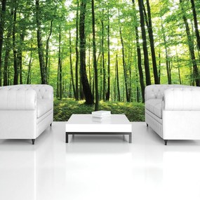 Fototapet - Pădurea verde (152,5x104 cm)