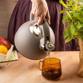 Ceainic cu fluier Klausberg KB-7912, 2.5 l, Maner cu efect de lemn, Inductie, Gri deschis